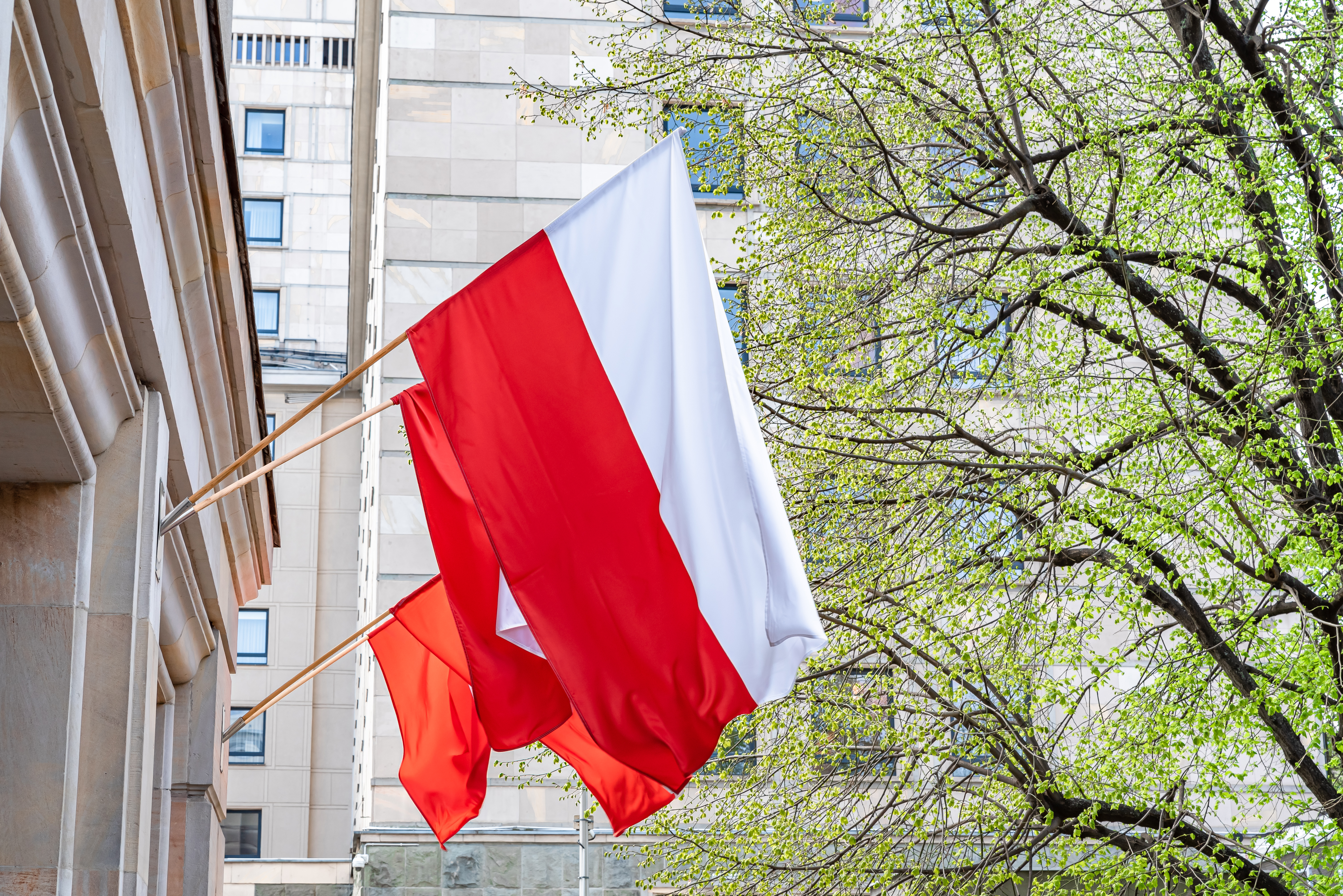 Госздание с флагами в котором можно оформить паспорт Польши