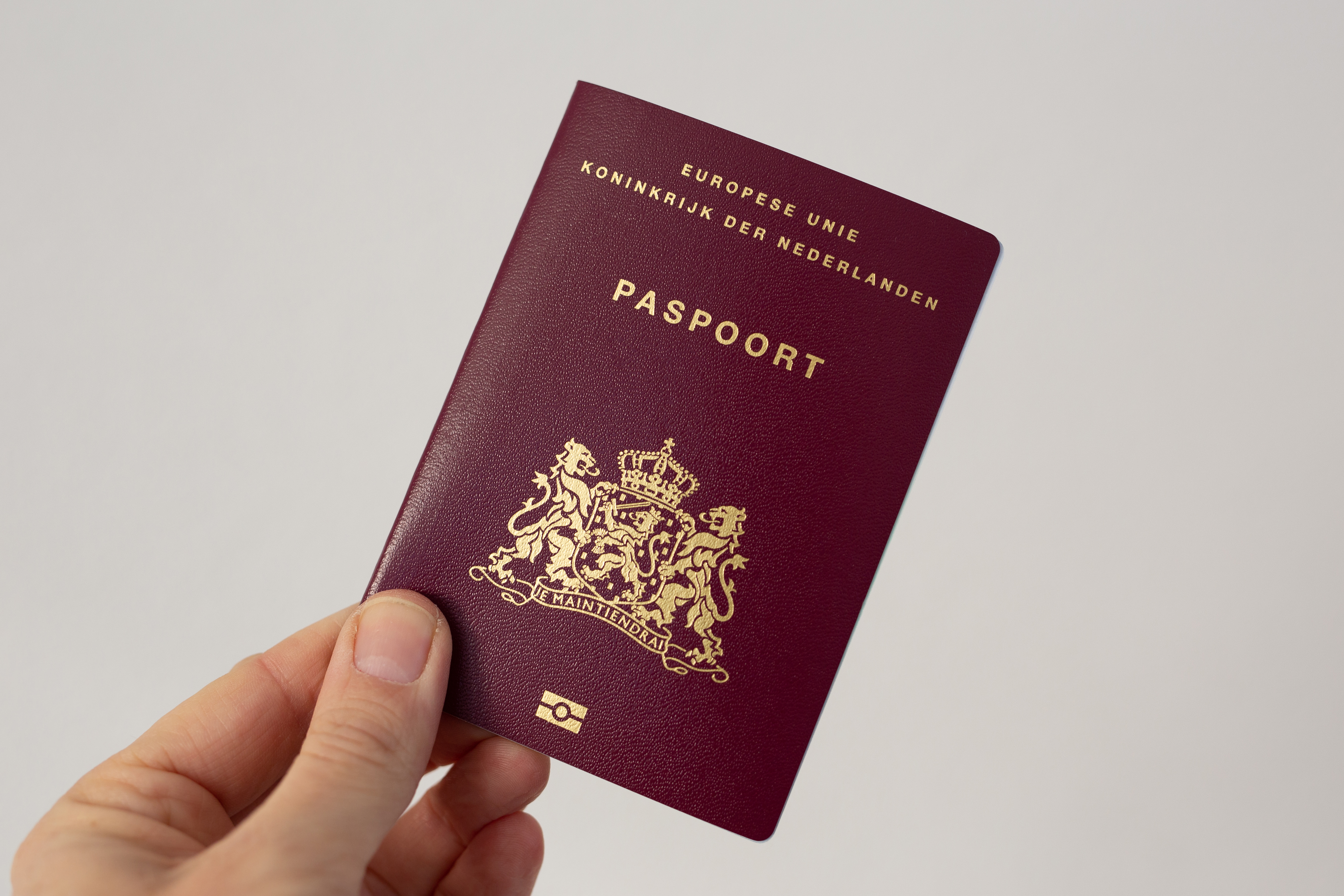 Голландский паспорт, который могут оформить иностранцы