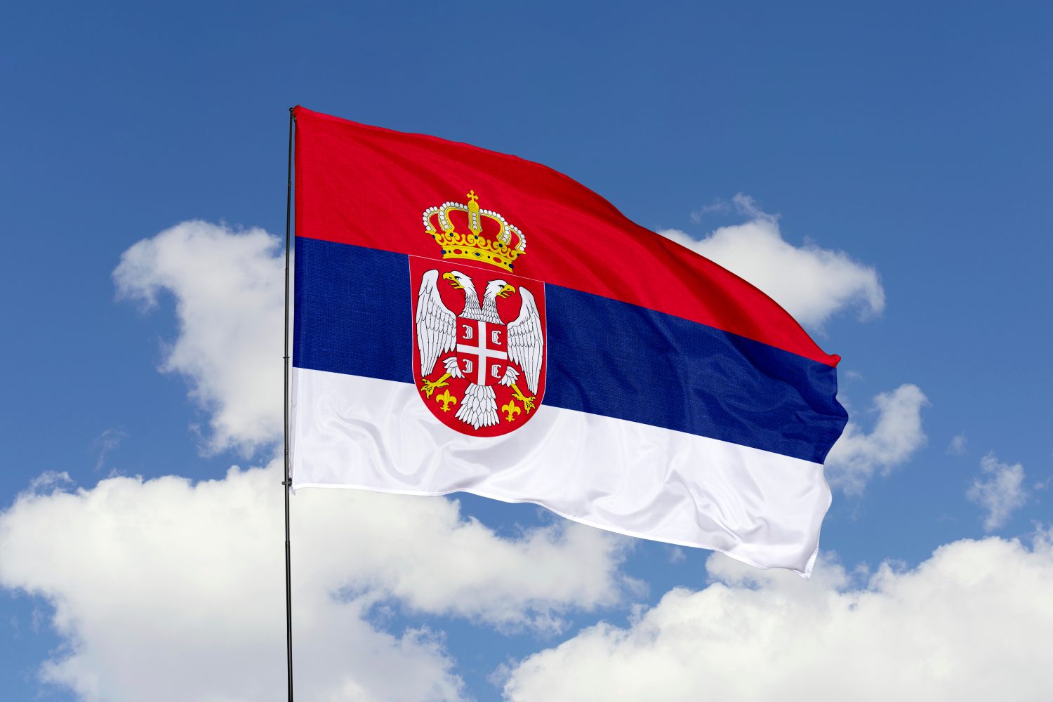 Организации сербии