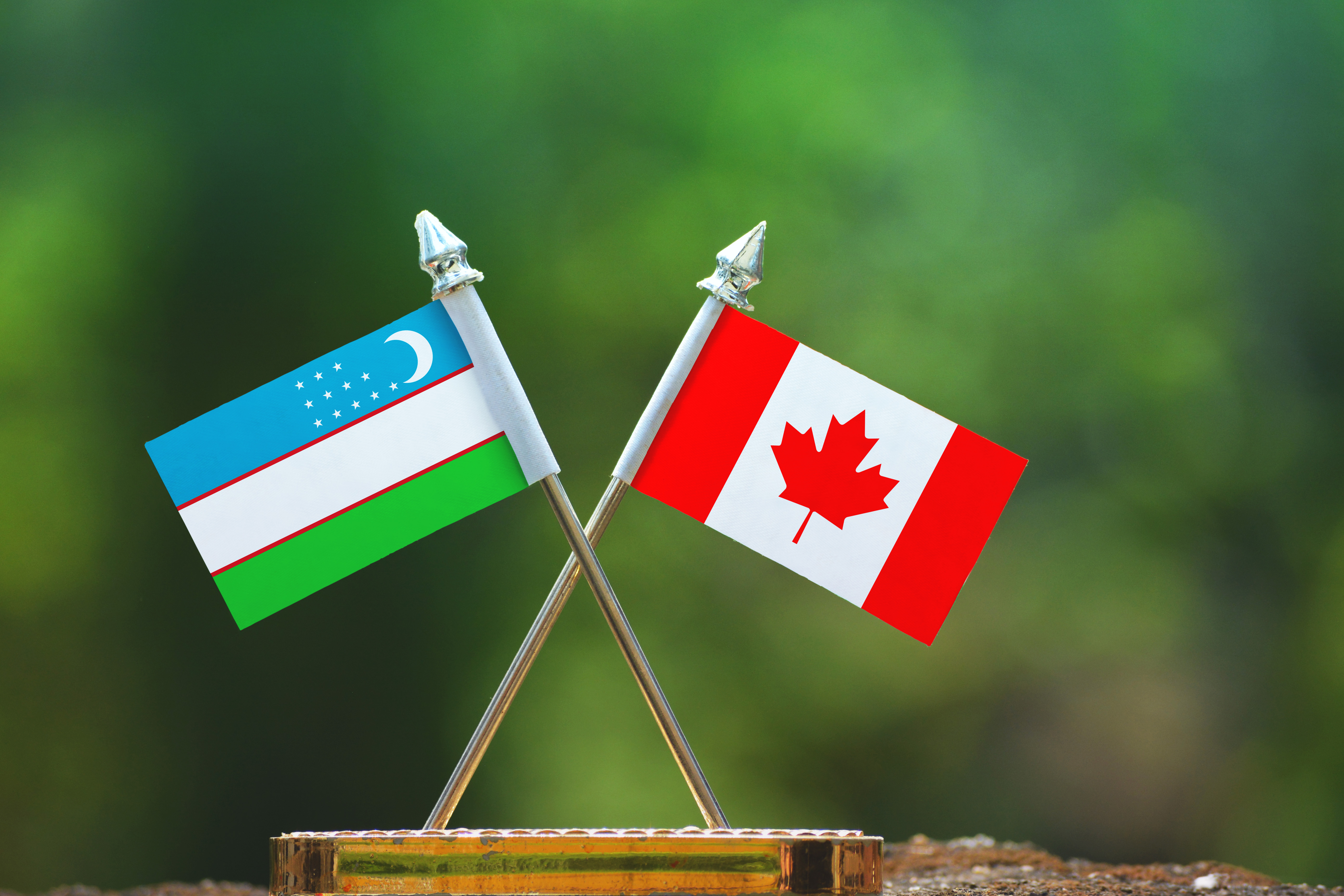 Флаги Узбекистана и Канады, виза в которую доступна узбекским гражданам