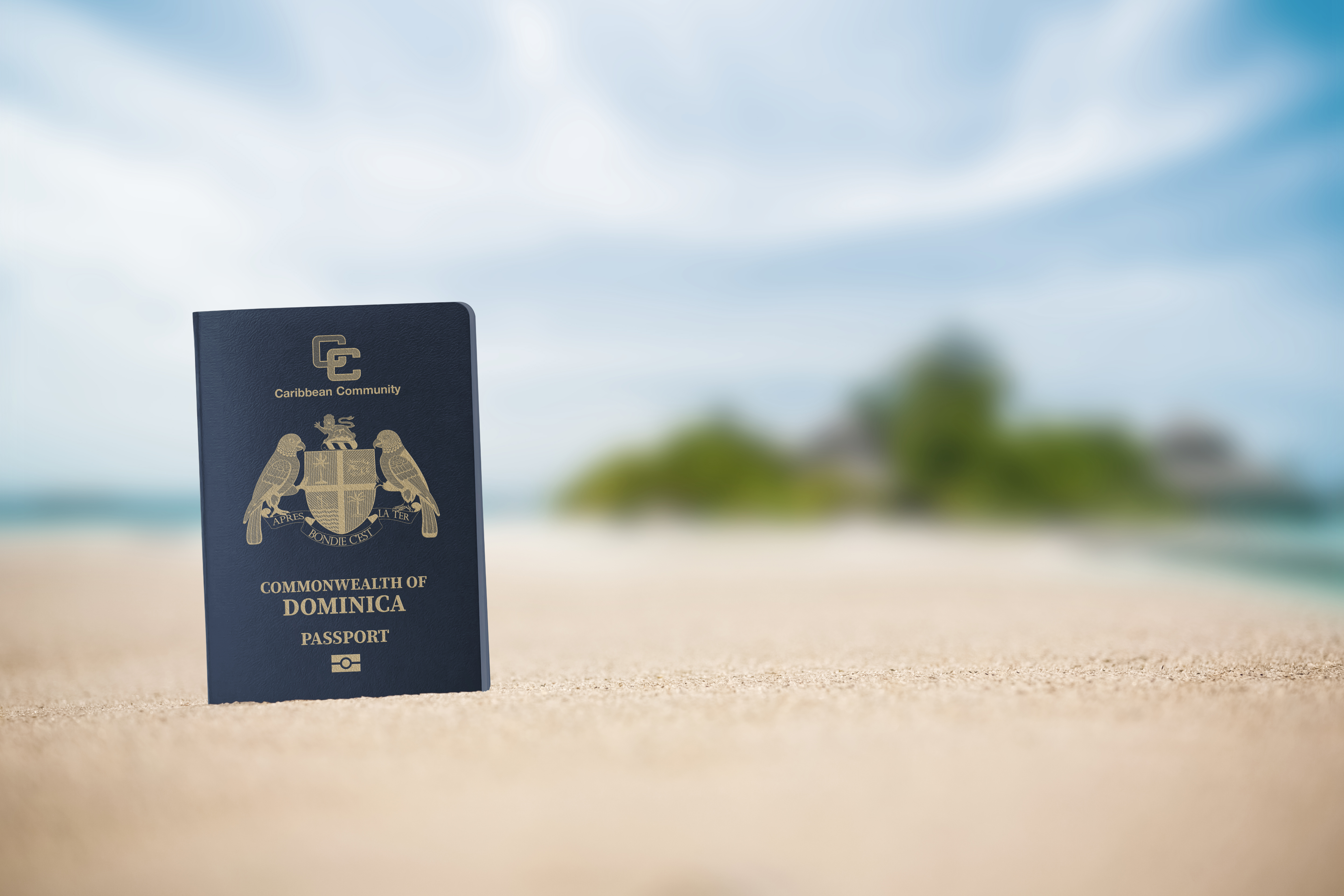 Доминикский паспорт, который могут получить иностранцы