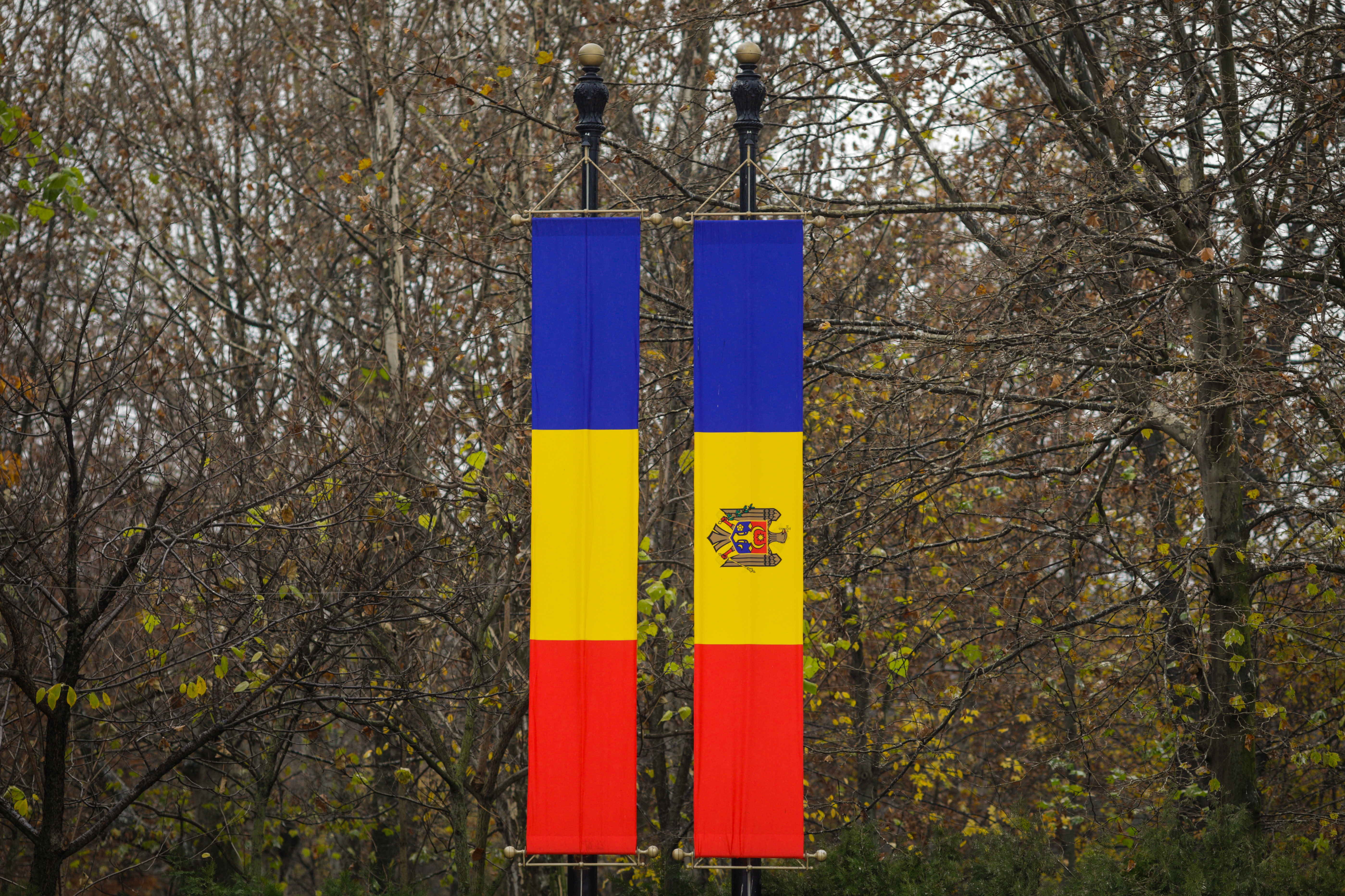 Румынский и молдавский флаг