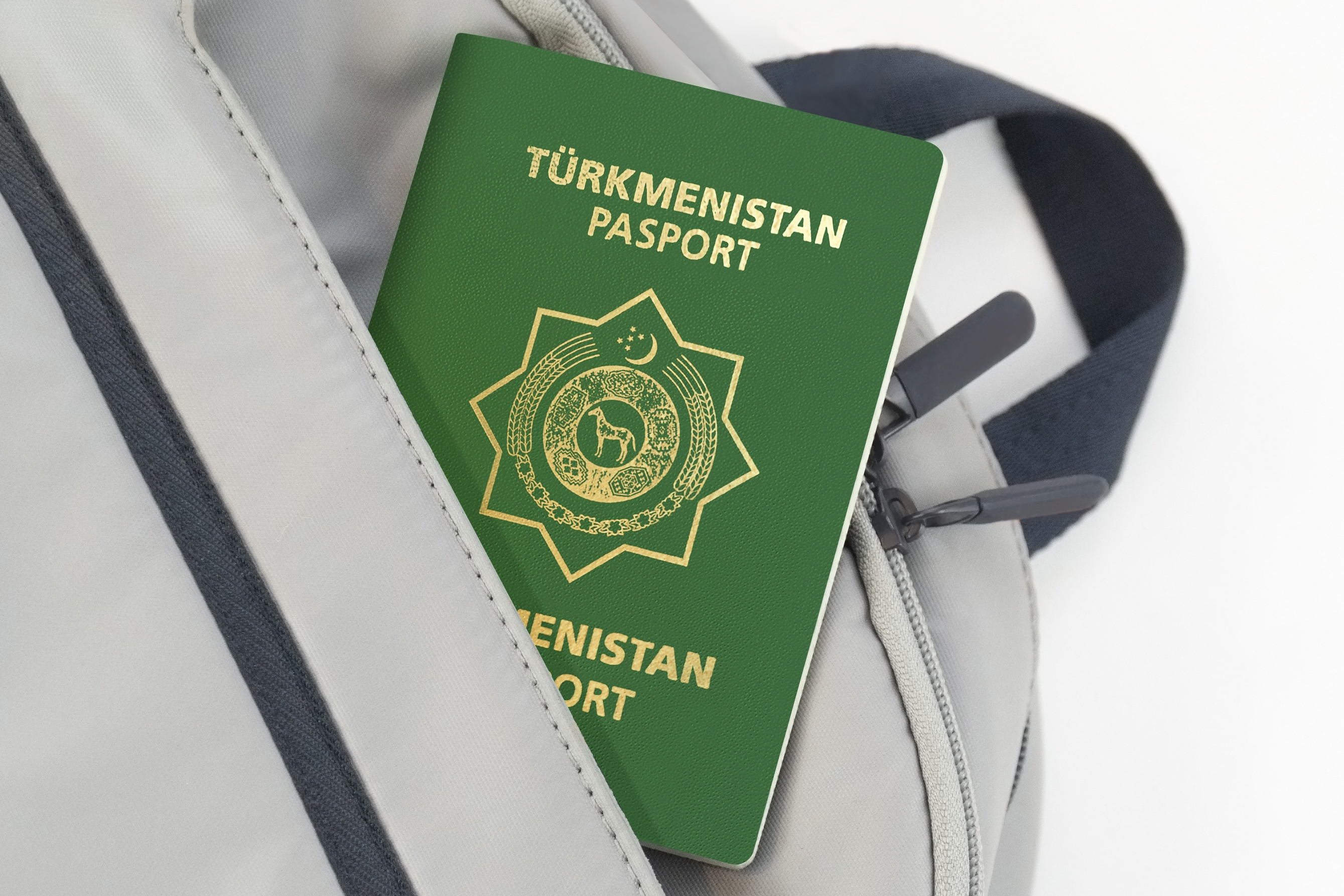 как получить паспорт Туркмении